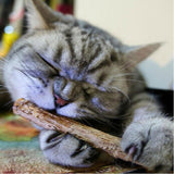 15/20pcs Cat Cleaning Teeth Pure Natural Catnip Pet Cat Molar - Shopium1